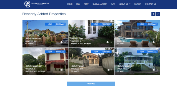 Real Estate Website Design